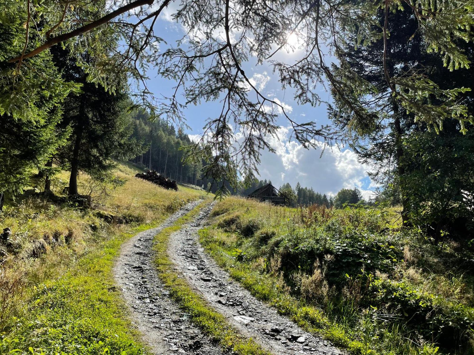 Tobadillerhof *